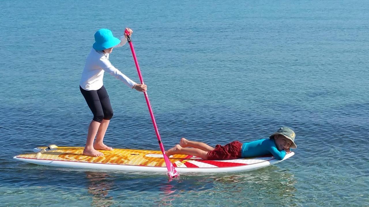 Paddle - Vue Mer - 100M Plage Berck المظهر الخارجي الصورة