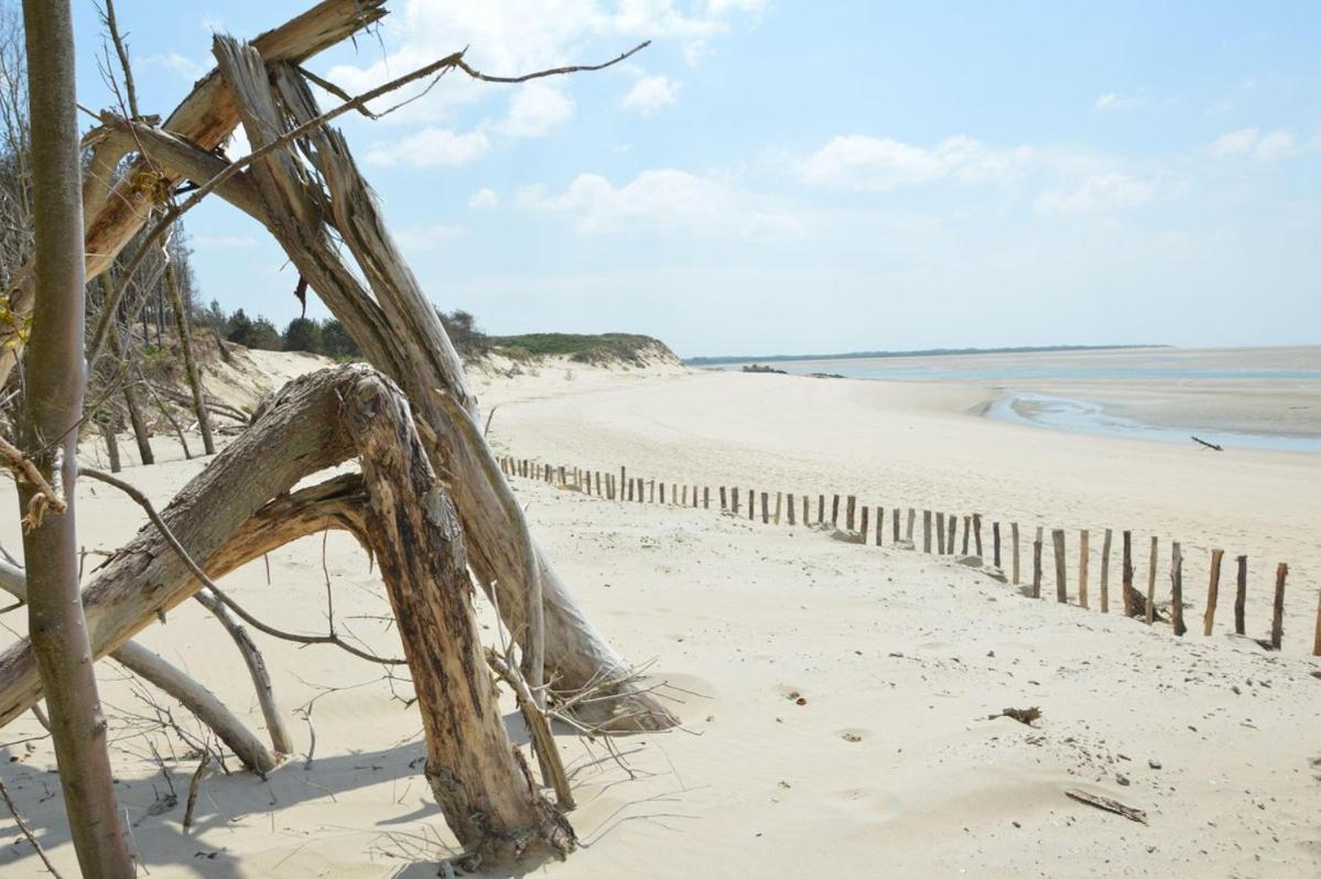 Paddle - Vue Mer - 100M Plage Berck المظهر الخارجي الصورة